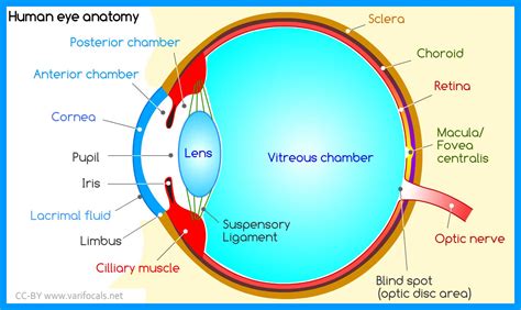 tutorial eye diagram 